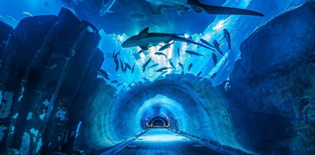 Featured image of Dubai Aquarium and Underwater Zoo
