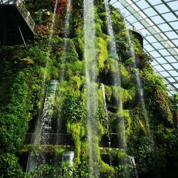 Image of Artificial Waterfall in The Green Planet
