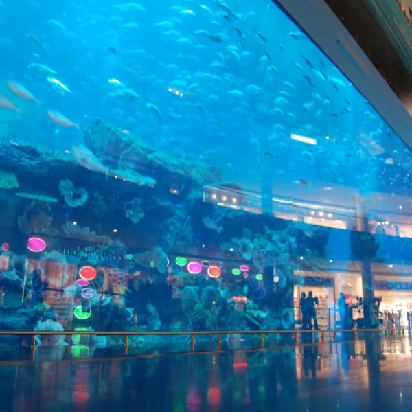 Image of Dubai Aquarium and Underwater Zoo