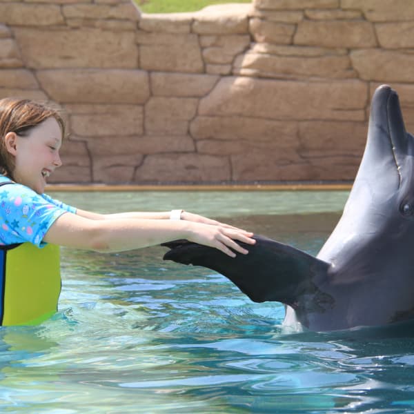 Image of dolphin with her trainer at the Dubai Dolphinarium