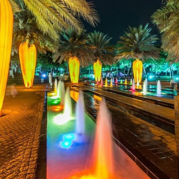 Image of palms in Dubai Garden Glow