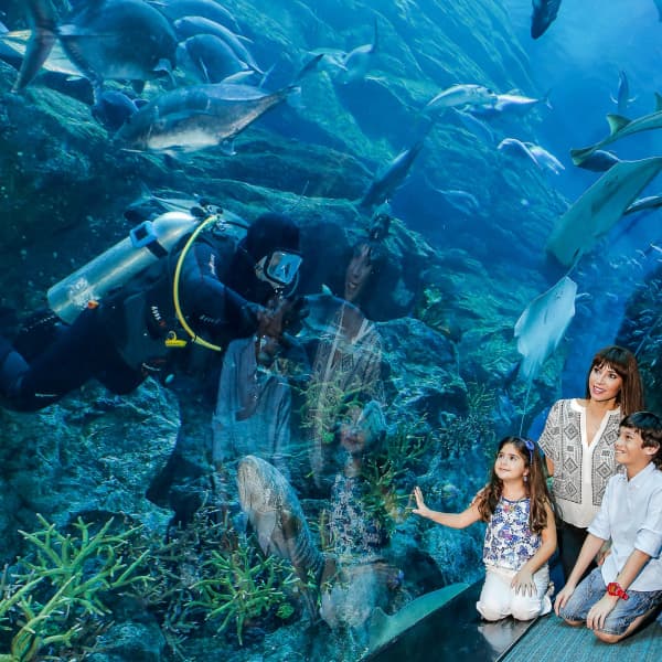 image of sharing with family in Dubai Aquarium and Underwater Zoo