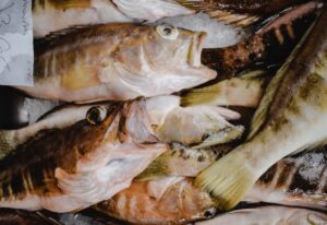صورة مصغرة لما بعد الطبق: الأهمية الثقافية للمأكولات البحرية في الشرق الأوسط من صالة الصياد