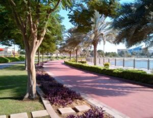Picture of History of Al Barsha Pond Park by Salled Al Sayad