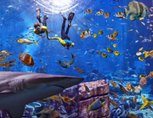 Picture of History of Aquaventure Waterpark by Salled Al Sayad