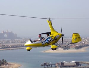Picture of History of Skydive Dubai by Salled Al Sayad