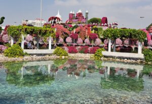 Picture-For-Clear-Water-Pond-Dubai-Miracle-Garden-By-Sallet Al Sayad